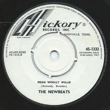 Load image into Gallery viewer, The Newbeats : Run, Baby Run (Back Into My Arms) / Mean Woolly Willie (7")