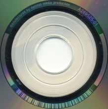 Load image into Gallery viewer, Chris Rea : Stony Road (CD, Album)