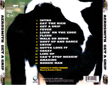 Load image into Gallery viewer, Aerosmith : Get A Grip (CD, Album)