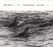 Load image into Gallery viewer, Peter Erskine, Palle Danielsson, John Taylor (2) : Juni (CD, Album)