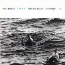 Load image into Gallery viewer, Peter Erskine, Palle Danielsson, John Taylor (2) : Juni (CD, Album)