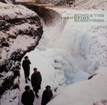 Load image into Gallery viewer, Echo & The Bunnymen : Porcupine (LP, Album)