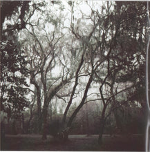 Load image into Gallery viewer, Gregg Allman : Low Country Blues (CD, Album)