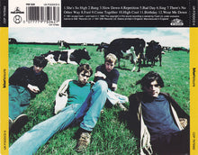 Load image into Gallery viewer, Blur : Leisure (CD, Album)