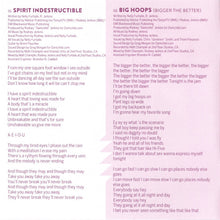 Load image into Gallery viewer, Nelly Furtado : The Spirit Indestructible (CD, Album)