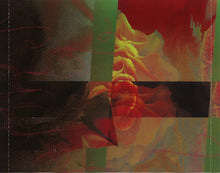 Load image into Gallery viewer, Celine Dion* : These Are Special Times (CD, Album)