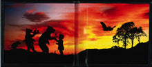 Load image into Gallery viewer, Ryan Adams & The Cardinals : Cold Roses (2xCD, Album)