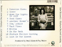 Load image into Gallery viewer, Edie Brickell : Picture Perfect Morning (CD, Album)