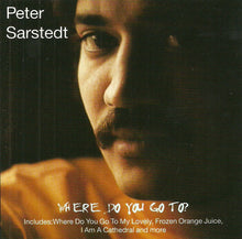 Load image into Gallery viewer, Peter Sarstedt : Where Do You Go To? (CD, Comp)