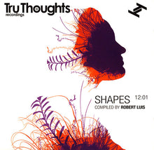 Load image into Gallery viewer, Robert Luis : Shapes 12:01 (2xCD, Comp)