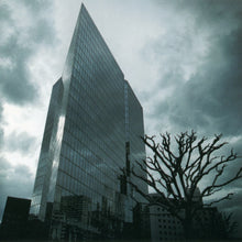 Load image into Gallery viewer, DJ Rap : Learning Curve (CD, Album)