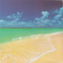 Load image into Gallery viewer, Various : Mega Sunshine (4xCD, Comp)
