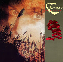 Load image into Gallery viewer, Clannad : Pastpresent (CD, Comp)