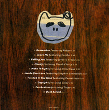 Load image into Gallery viewer, Christian Falk : Quel Bordel (CD, Album)