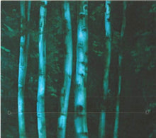 Load image into Gallery viewer, The Paul Schwartz Project* : Earthbound (CD, Album, Dig)