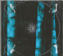 Load image into Gallery viewer, The Paul Schwartz Project* : Earthbound (CD, Album, Dig)