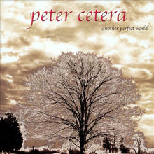 Load image into Gallery viewer, Peter Cetera : Another Perfect World (CD, Album)