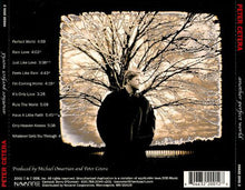 Load image into Gallery viewer, Peter Cetera : Another Perfect World (CD, Album)