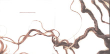 Load image into Gallery viewer, Alanis Morissette : Supposed Former Infatuation Junkie (CD, Album, RP)