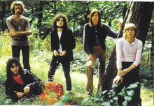 Load image into Gallery viewer, Fleetwood Mac : Green Shadows Classics And Rarities Featuring Peter Green (CD, Comp)