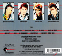 Load image into Gallery viewer, Mr. Mister : Welcome To The Real World (CD, Album, RM, Dig)