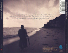 Load image into Gallery viewer, Richard Page : Shelter Me (CD, Album)