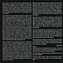 Load image into Gallery viewer, Various : 19 Tracks From The Film Chicago Blues (CD, Comp)