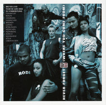 Load image into Gallery viewer, Bro'Sis : Never Forget (Where You Come From) (CD, Album)