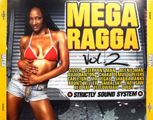 Load image into Gallery viewer, Various : Mega Ragga Vol. 2 (4xCD, Comp)