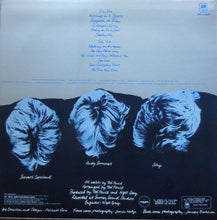 Load image into Gallery viewer, The Police : Reggatta De Blanc (LP, Album)