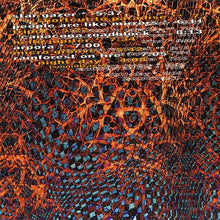 Load image into Gallery viewer, Cosmic Tramp : Nomad Steps (CD, Album)