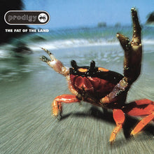 Load image into Gallery viewer, Prodigy* : The Fat Of The Land (CD, Album, DAD)