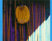 Load image into Gallery viewer, Kirsty MacColl : Tropical Brainstorm (CD, Album, Enh)