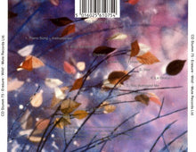Load image into Gallery viewer, Erasure : Wild! (CD, Album)