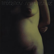 Load image into Gallery viewer, Tindersticks : Simple Pleasure (CD, Album)
