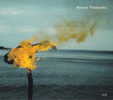 Load image into Gallery viewer, Steve Tibbetts : A Man About A Horse (CD, Album)