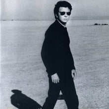 Load image into Gallery viewer, Rick Astley : Body & Soul (CD, Album)