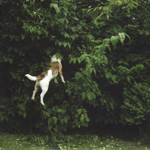 Load image into Gallery viewer, Sasha : Avalon, Los Angeles, CA, 24/06/06 (2xCD, Ltd, Mixed)