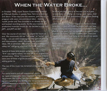 Load image into Gallery viewer, Liquid Trio Experiment : Spontaneous Combustion (CD, Album)