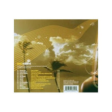Load image into Gallery viewer, DJ Fluid : Om:Miami 2006 (CD, Comp, Mixed)