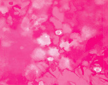 Load image into Gallery viewer, Paulina Rubio : Pau-Latina (CD, Album)