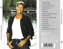 Load image into Gallery viewer, David Hasselhoff : Sings America (CD, Album, Copy Prot.)