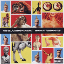 Load image into Gallery viewer, Bloodhound Gang : Hooray For Boobies (HDCD, Album, Club)