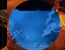 Load image into Gallery viewer, Deep Forest III* : Comparsa (CD, Album)