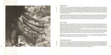 Load image into Gallery viewer, Various : Reggae Africa (CD, Comp)