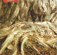 Load image into Gallery viewer, Various : Reggae Africa (CD, Comp)
