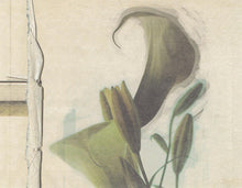 Load image into Gallery viewer, Wonderwall : Witchcraft (CD, Album)