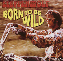 Load image into Gallery viewer, Steppenwolf : Born To Be Wild (CD, Comp)