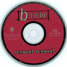 Load image into Gallery viewer, B-Tribe : Sensual Sensual (CD, Album)