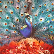 Load image into Gallery viewer, Opeth : Sorceress (2xLP, Album, Ltd, Pic)